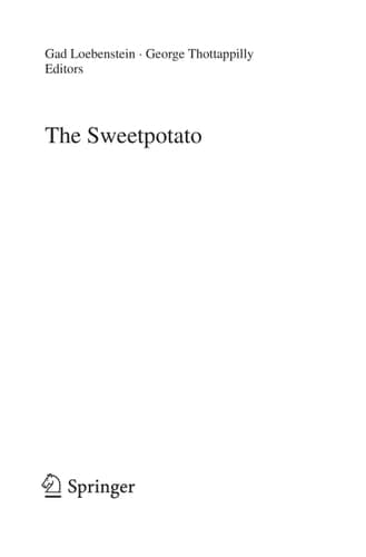 The Sweetpotato