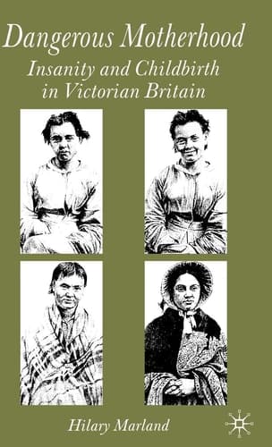 Dangerous Motherhood Insanity and Childbirth in Victorian Britain