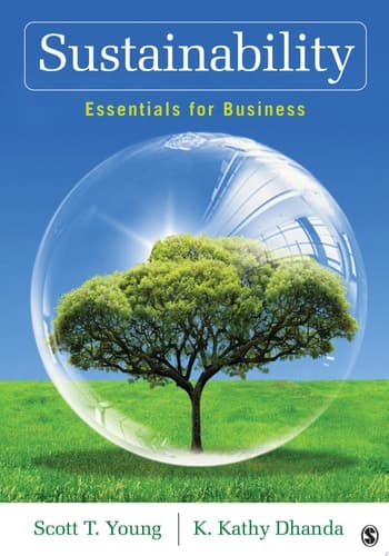 Sustainability Essentials for Business