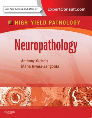 Neuropathology A Volume in the High Yield Pathology Series (Expert Consult - Online and Print)
