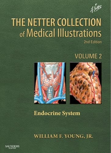 NETTER COLLECTION OF MEDICAL ILLUSTRATIONS; V. 2 ENDOCRINE SYSTEM; ED. BY WILLIAM F. YOUNG.