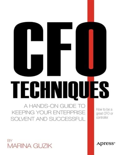CFO Techniques A Hands-on Guide to Keeping Your Business Solvent and Successful
