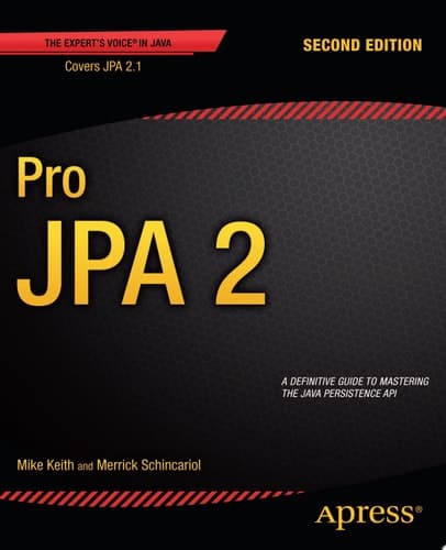 Pro JPA 2