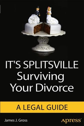 It's Splitsville Surviving Your Divorce