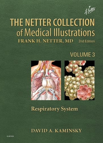 The Netter Collection of Medical Illustrations Respiratory System