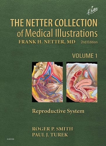 The Netter Collection of Medical Illustrations Respiratory system. Volume 3