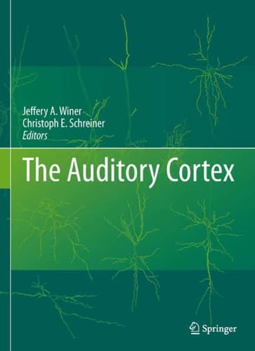 The Auditory Cortex