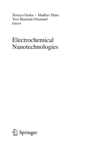 Electrochemical Nanotechnologies