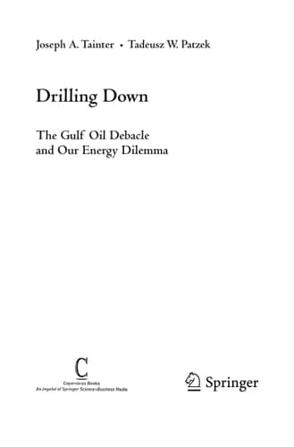 Drilling Down The Gulf Oil Debacle and Our Energy Dilemma