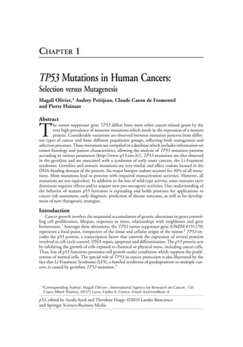 p53