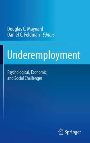 Underemployment Psychological, Economic, and Social Challenges