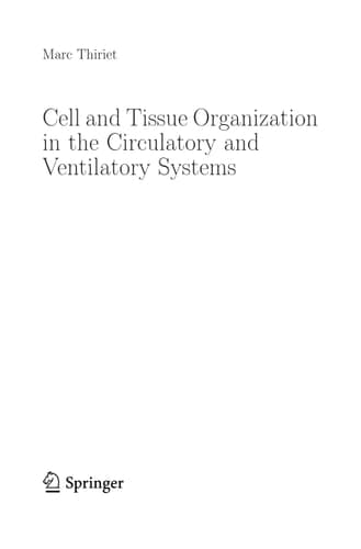 Cell and Tissue Organization in the Circulatory and Ventilatory Systems