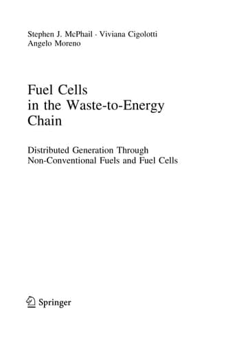 Fuel Cells in the Waste-to-Energy Chain Distributed Generation Through Non-Conventional Fuels and Fuel Cells