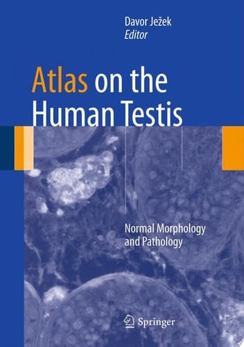 Atlas on the Human Testis Normal Morphology and Pathology