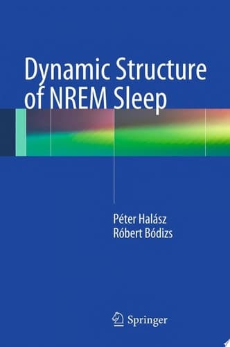 Dynamic Structure of NREM Sleep