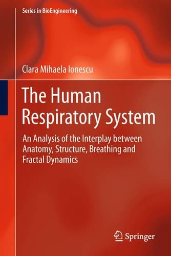 The Human Respiratory System An Analysis of the Interplay between Anatomy, Structure, Breathing and Fractal Dynamics