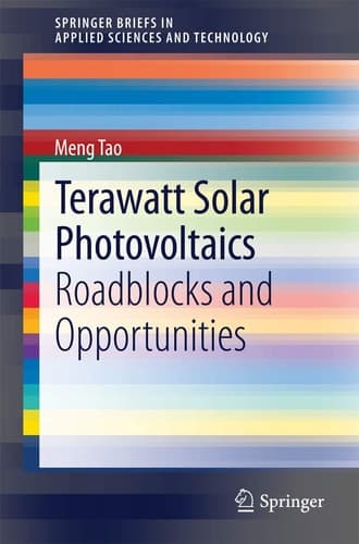 Terawatt Solar Photovoltaics Roadblocks and Opportunities