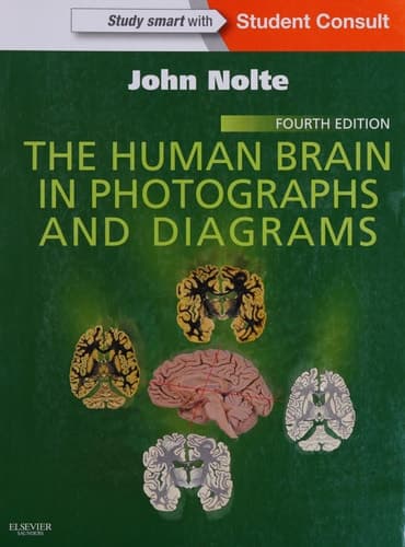 The Human Brain in Photographs and Diagrams