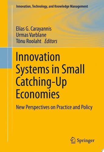 Innovation Systems in Small Catching-Up Economies New Perspectives on Practice and Policy