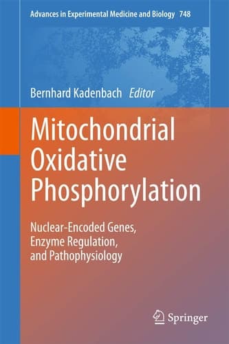 Mitochondrial Oxidative Phosphorylation Nuclear-Encoded Genes, Enzyme Regulation, and Pathophysiology
