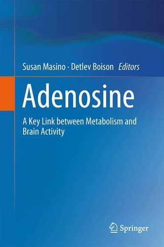 Adenosine A Key Link between Metabolism and Brain Activity