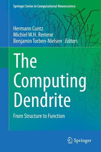 The Computing Dendrite From Structure to Function
