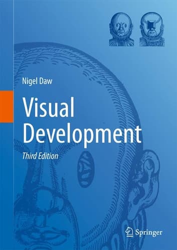 Visual Development