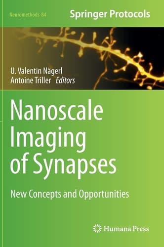 Nanoscale Imaging of Synapses New Concepts and Opportunities