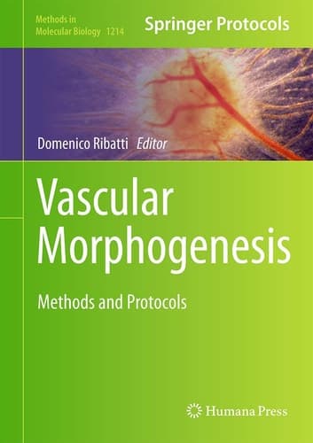 Vascular Morphogenesis Methods and Protocols