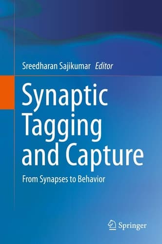Synaptic Tagging and Capture From Synapses to Behavior