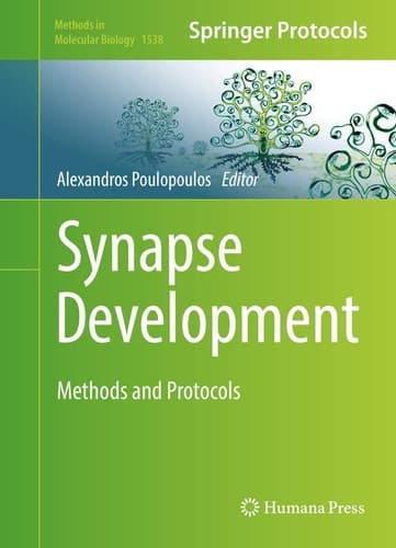 Synapse Development Methods and Protocols