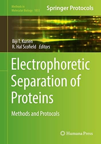 Electrophoretic Separation of Proteins Methods and Protocols