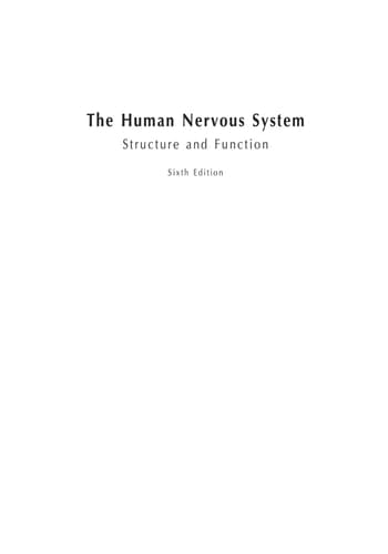 The Human Nervous System Structure and Function