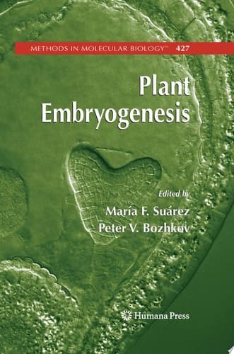 Plant Embryogenesis