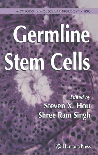 Germline Stem Cells