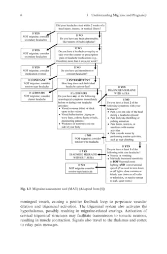 Effective Migraine Treatment in Pregnant and Lactating Women: A Practical Guide
