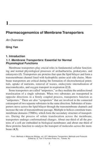 Membrane Transporters in Drug Discovery and Development: Methods and Protocols (Methods in Molecular Biology, 637)