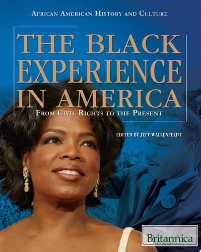 The Black Experience in America