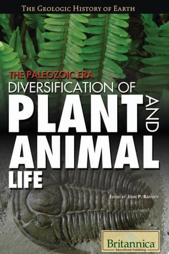 The Paleozoic Era: