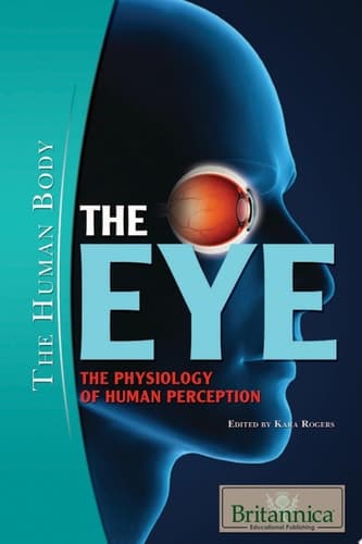 The Eye: The Physiology of Human Perception