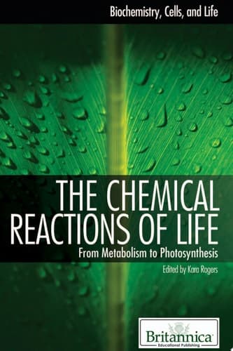 The Chemical Reactions of Life