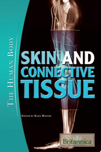 Skin and Connective Tissue