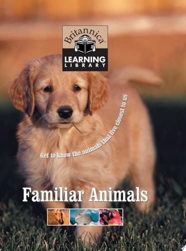 Familiar Animals