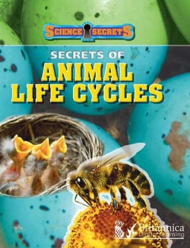 Secrets Of Animal Life Cycles