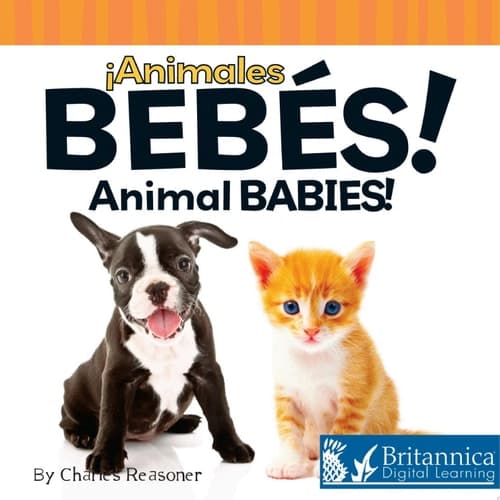 Animales bebés (Animal Babies)