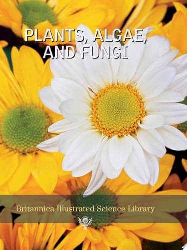 Plants, Algae, and Fungi