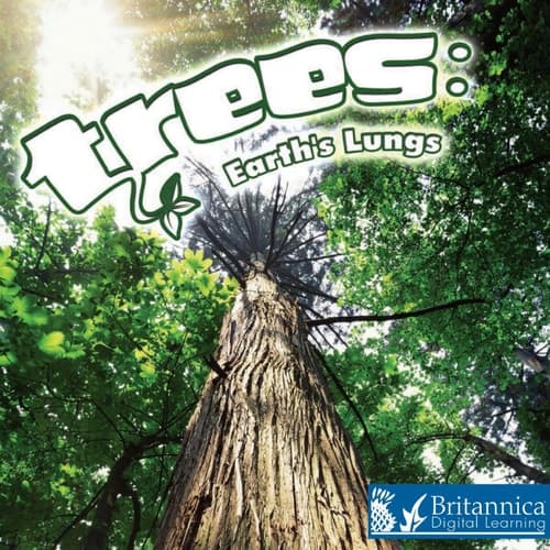 Trees: Earth's Lungs