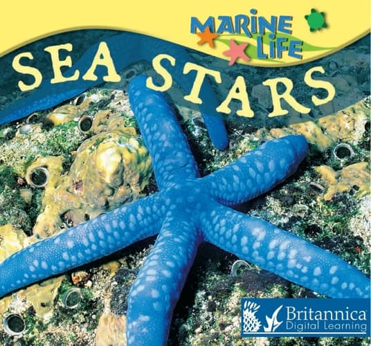 Sea Stars