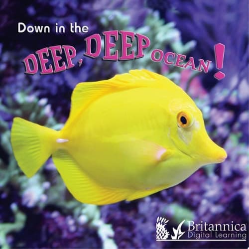 Down in the Deep Deep Ocean