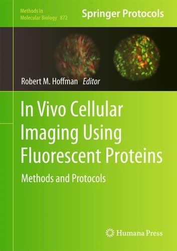In Vivo Cellular Imaging Using Fluorescent Proteins Methods and Protocols